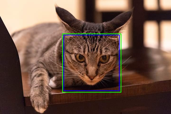 Cat face detection using OpenCV